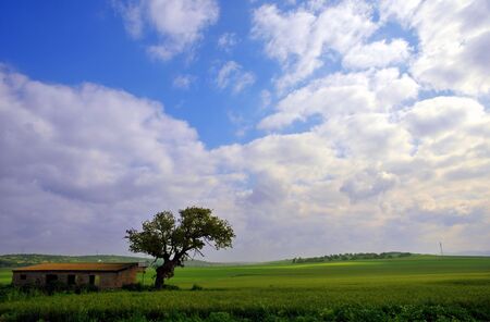 Barn House and a green Wheat Fieldの写真素材