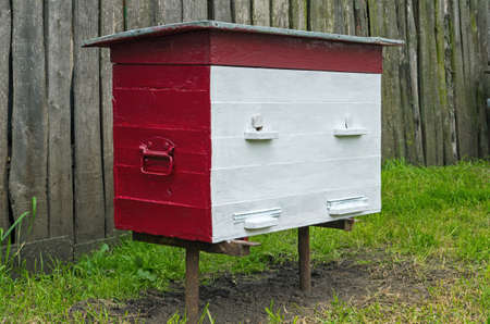 Freshly painted hive 20 frames ready to use.