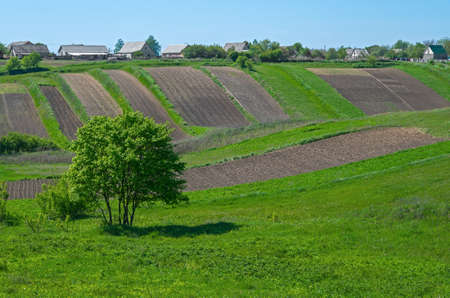 Green meadow and trees on the outskirts of countryside in early spring.の写真素材