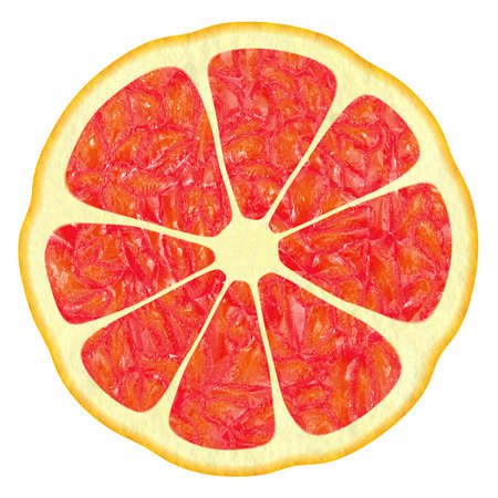 The image of illustrations of different color versions of citron fruit.の写真素材