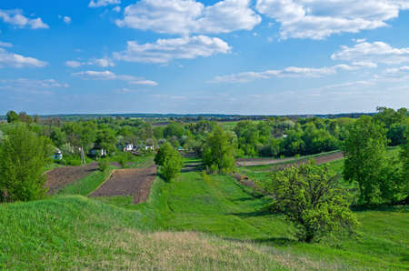 Green meadow and trees on the outskirts of countryside in early spring.の写真素材