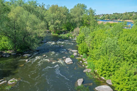 A small river with rocky shores in the thickets of maple, willow and reedsの写真素材