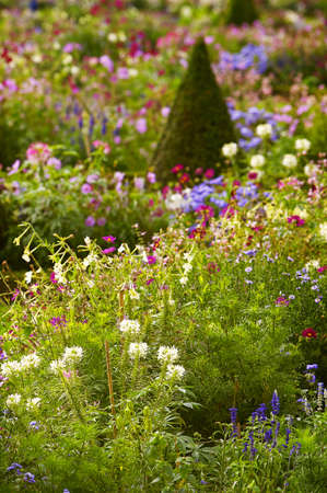 French garden detail 