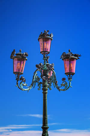 Lantern with pigeons on San Marco in Veniceの写真素材
