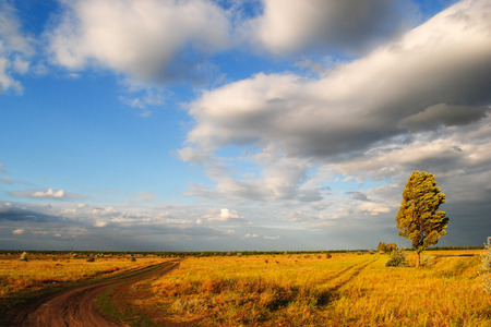 Central Ukraine landscape in late summerの写真素材