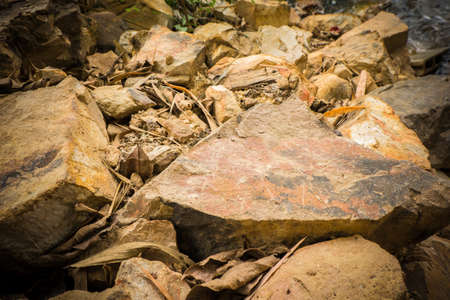Stone nature