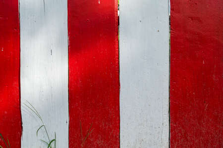 Wood red white backgroundの写真素材