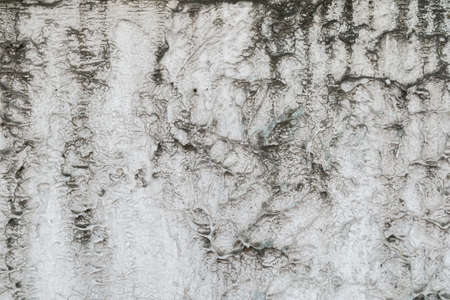 Old style vintage wall backgroundの写真素材