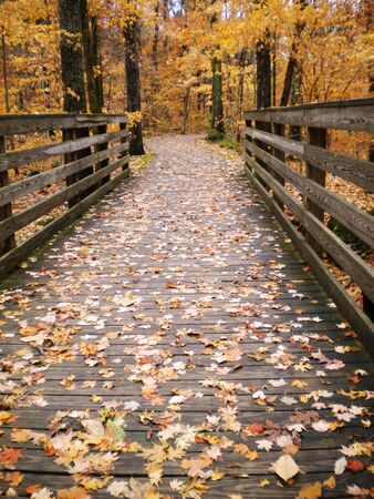 Bright orange and yellow autumn leaves fallen on a wooden bridge deep in the Appalachian mountains
