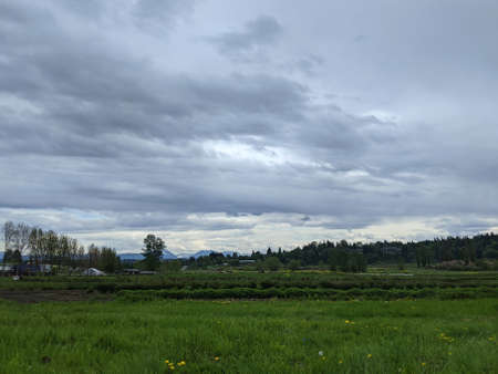 View of a wide, open farmland with rows of crops in Northern Washington on an overcast day