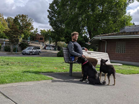 Kirkland WA USA - circa November 2020: Man leisurely sitting on a park bench with two dogs, enjoying the nice weather at downtown Kirkland Marina.のeditorial素材