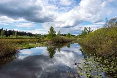Gorgeous view of a large lake beside a fenced in blueberry farm in the pacific northwest on a cloudy, sunny dayの写真素材