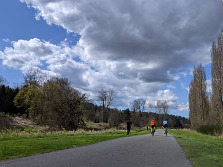 View of two people biking in a paved bike trail, as a runner passes them on the left on a bright, sunny day in Woodinville, WAの写真素材