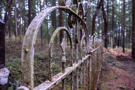 Selective focus on a rusted, wrought iron fence in a large, forested cemetery plot in the Pacific...