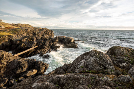 White, foamy waves crashing against coastal rocks at sunset on San Juan Island, WAの写真素材