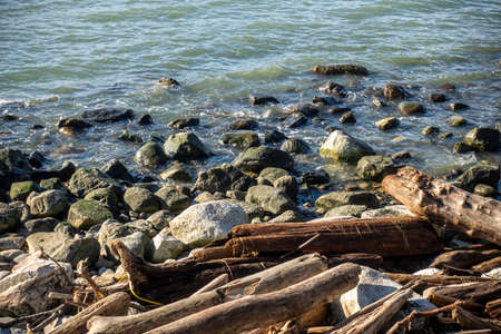 Rocky coastline of False Bay in San Juan Island, WA, refilling after low tide on a sunny dayの写真素材