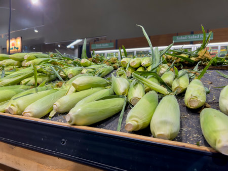 Seattle, WA USA - circa August 2022: Close up view of corn on the cob for sale inside a Safeway grocery store.のeditorial素材