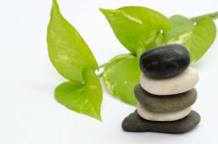 Stone and green leaf - isolated on whiteの写真素材