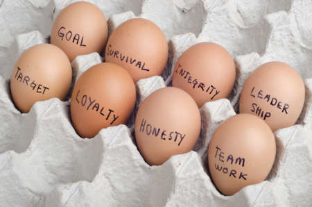 Egg concept of organization
