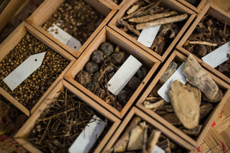 Thai traditional medicinal plant herb raw materialの写真素材