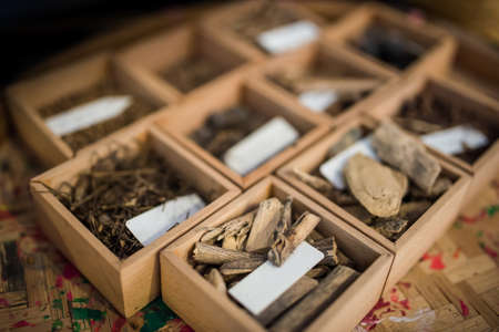 Thai traditional medicinal plant herb raw materialの写真素材