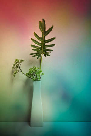 colorful green leaves in the with jar for indoor decorationの写真素材