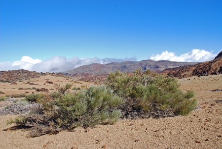 The rock on the island tenerifeの写真素材
