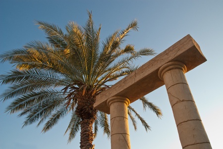 palms and architecture of the island cyprusの写真素材