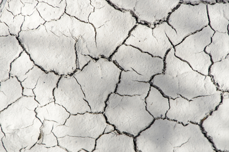 Bottom of dried in calabria south italy