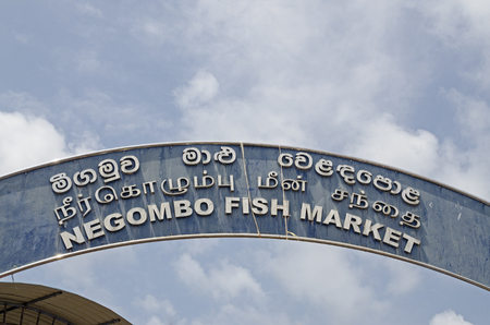 Negombo Fish market, in sri lankaの写真素材