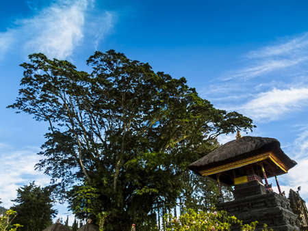 Traditional Bali Temple Under The Lush Green Tree