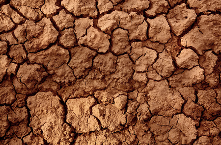 Drought land represent in cracked soil mud because of global warming and long hot dry season  ...