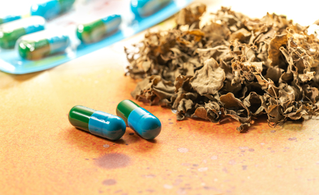 Moringa oleifera Dry Leaves and Capsule Herb. Extract of Moringa Oleifera Pack in Capsule Use as Supplement. Traditional Herbal Alternative Medicine Concept. Selective Focusの写真素材