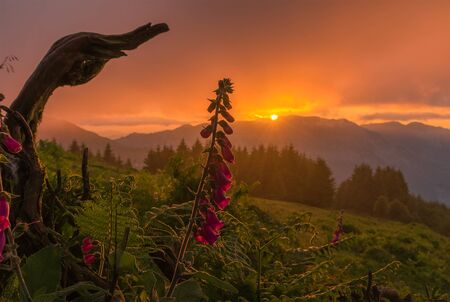 Scene of a orange sunset, in Natural park of Urkiola, Basque Countryの写真素材