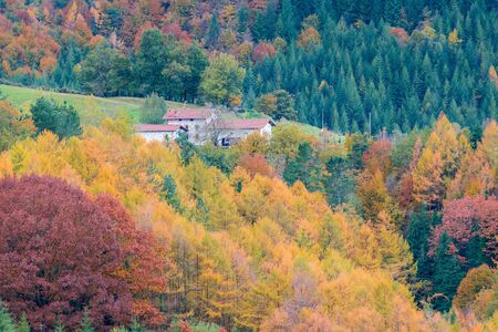 Autumn is here, in Aranzazu, Basque Countryの写真素材