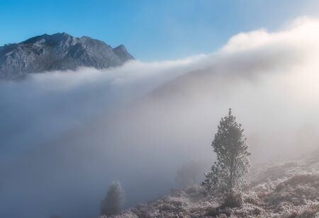 Alone in the cloud. In Natural Park of Urkiola. Basque Country