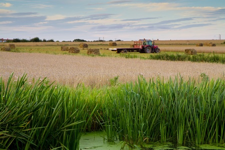 Harvest in Somerset by the canalの写真素材