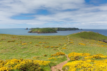 Skomer Island Pembrokeshire West Wales known for Puffins, wildlife and a National Nature Reserve   の写真素材