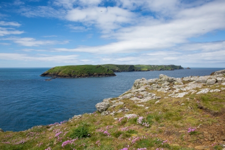 Skomer Islandの写真素材