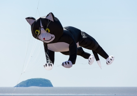 Kite Festival Weston-super-Mare, Somerset, England -June 9th 2013   Colourful kites attracted crowds at the first Weston Kite Festival on Sunday 9th June 2013のeditorial素材