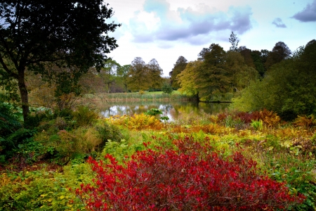 Beautiful colourful flowers in autumn at Forde Abbey Dorset Englandの写真素材