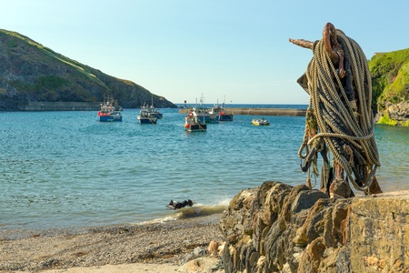 Cornwall fishing village harbour viewの写真素材