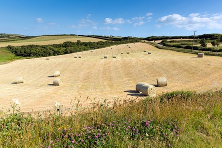 Cornwall country scene with hay bales like cotton reels on a beautiful summer dayの写真素材