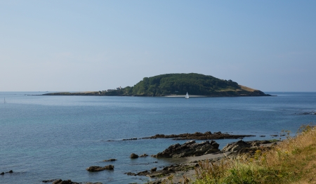 Looe Island Cornwall also known as St Georges