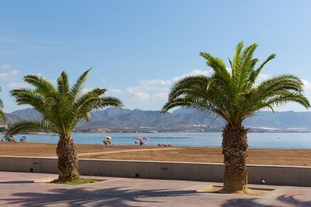 Puerto de Mazarron beach Murcia Spain with palm treesの写真素材