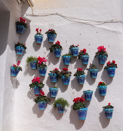 Colourful Spanish flower pots blue with red flowers on a white wall in Spainの写真素材