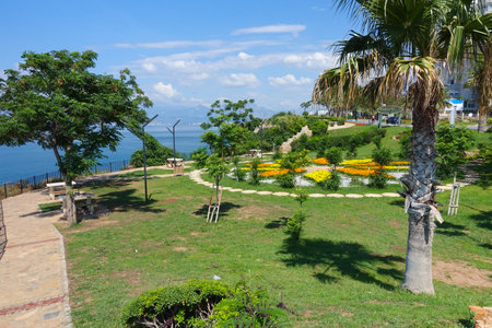 Colourful flowers on coast path Antalya Turkey popular Turkish tourist destinationの写真素材