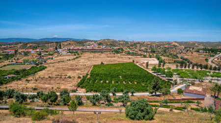 Countryside green fields and houses Silves Portugal Algarve south of the countryの写真素材