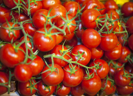 Freshly picked tomatoes farmers marketの写真素材