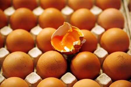 Fresh brown eggs on market as a backgroundの写真素材